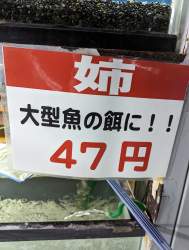 477946 B