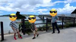 8053331 B