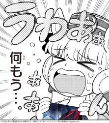 4348219 B