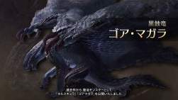 2443878 B