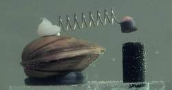 26130 B