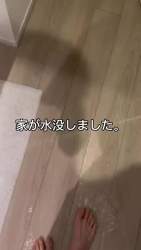 6616245 B