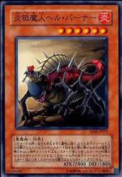 29374 B