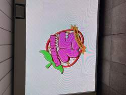 2166544 B