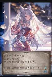 206054 B