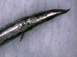 311863 B