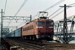 250263 B
