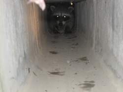 1105060 B