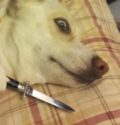 237797 B