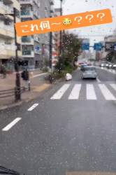 5385026 B