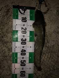 559083 B