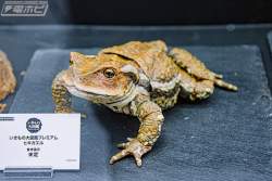 130298 B