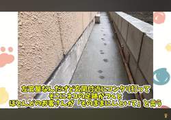 5577703 B