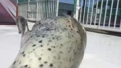 1218773 B