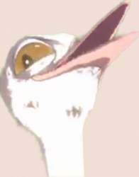 76281 B