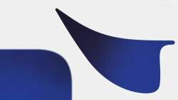 8088649 B