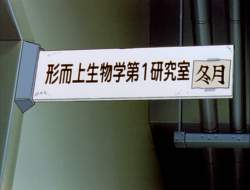 213866 B
