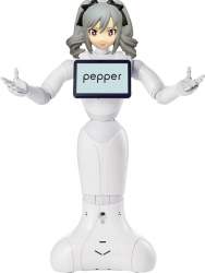 203231 B