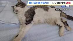 7431233 B