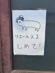 36555 B