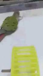 253786 B
