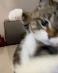 69348 B