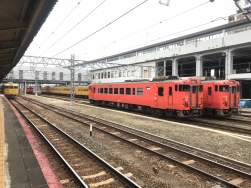 955595 B