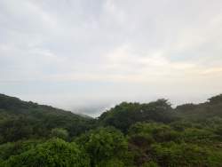 2459938 B
