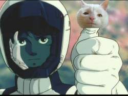 20911 B