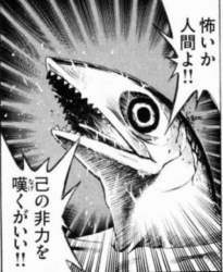 55668 B