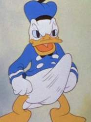 33016 B