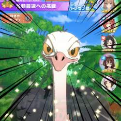 512457 B