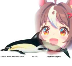 265771 B