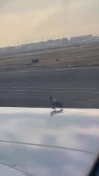 2785170 B