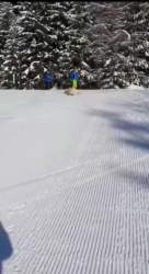 2797837 B