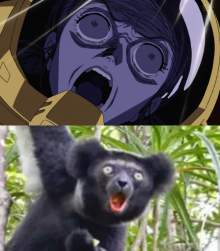 1054403 B