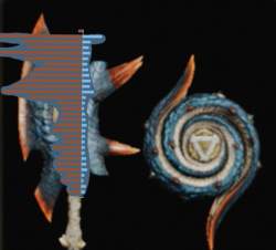 1132085 B