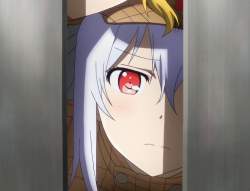 278433 B