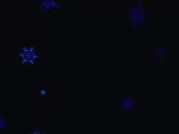 8179992 B