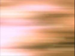 8127892 B