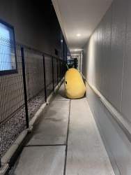 69553 B