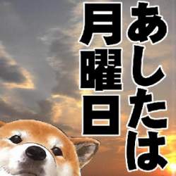 42778 B