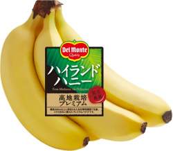 51618 B