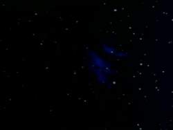 7953171 B