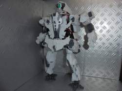 2428094 B