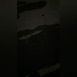 819067 B