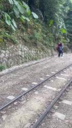 4869736 B