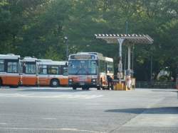 395238 B