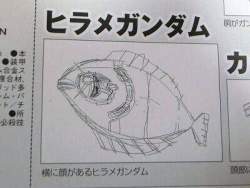 25377 B