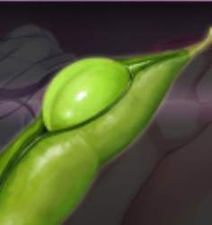30778 B